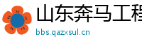 山东奔马工程机械有限公司